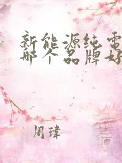 新能源纯电动车哪个品牌好