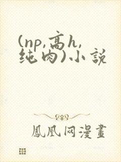 (np,高h,纯肉)小说 (np,高h,纯肉)小说