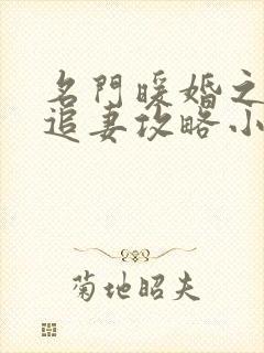 名门暖婚之权爷追妻攻略小说最新