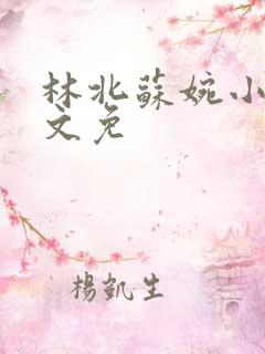 林北苏婉小说全文免