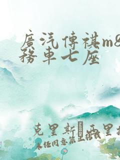 广汽传祺m8商务车七座