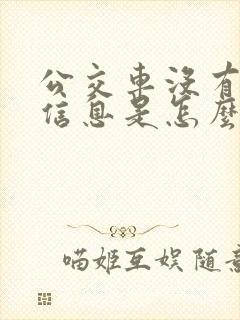 公交车没有实时信息是怎么回事