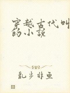 穿越古代叫宁宸的小说