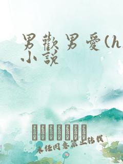 男欢男爱(h)小说