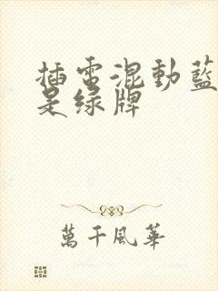 插电混动蓝牌还是绿牌