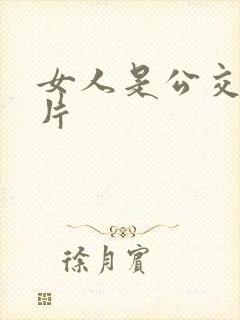 女人是公交车影片