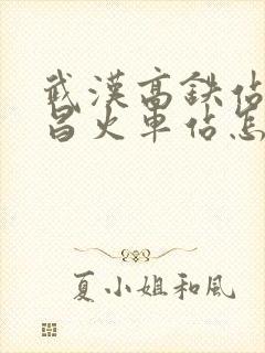 武汉高铁站到武昌火车站怎么坐地铁