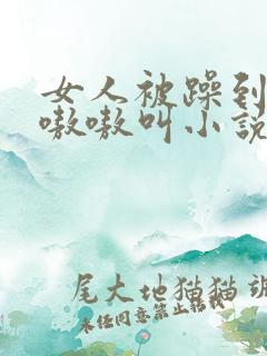 女人被躁到高潮嗷嗷叫小说