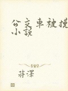 公交车被摸高潮小说