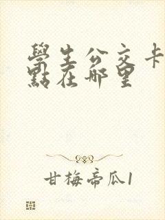 学生公交卡办理点在哪里 学生公交卡办理点在哪里