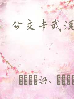 公交卡武汉
