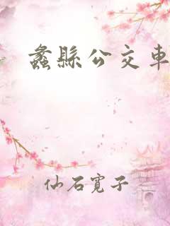 蠡县公交车线路