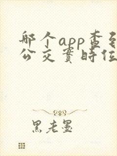 哪个app查到公交实时位置