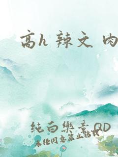 高h 辣文 肉