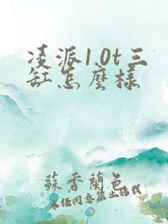 凌派1.0t三缸怎么样