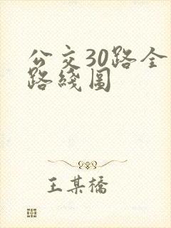 公交30路全程路线图