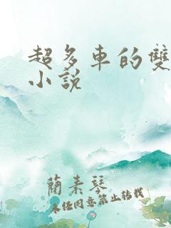 超多车的双男主小说