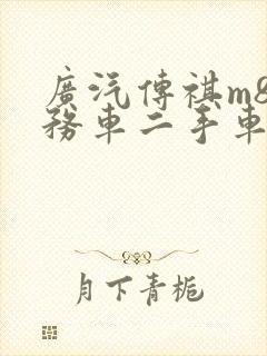 广汽传祺m8商务车二手车价格