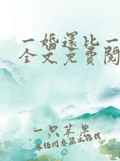 一婚还比一婚高全文免费阅读
