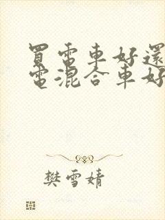 买电车好还是油电混合车好