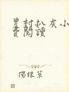 农村扒灰小说免费阅读