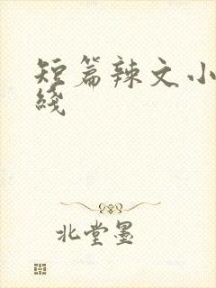 短篇辣文小说在线