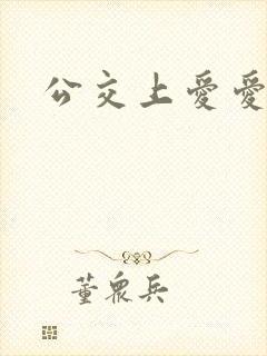 公交上爱爱