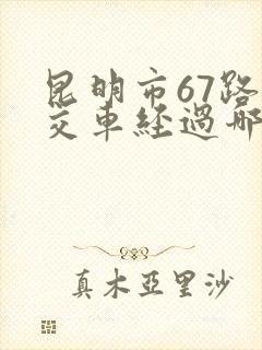 昆明市67路公交车经过哪些站点