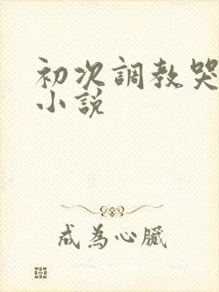 初次调教哭乱h小说 初次调教哭乱h小说