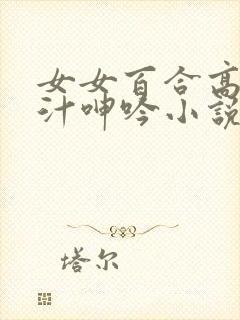 女女百合高h喷汁呻吟小说