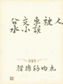 公交车被人摸出水小说