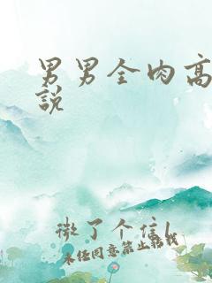 男男全肉高h小说
