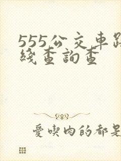 555公交车路线查询查