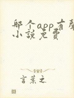 哪个app有声小说免费 哪个app有声小说免费