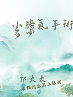 小肠气手术费用多少