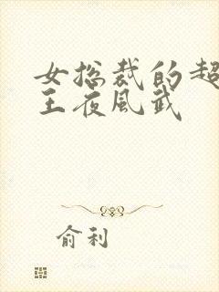 女总裁的超级兵王夜风武