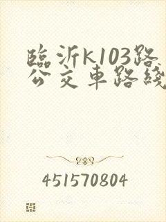 临沂k103路公交车路线