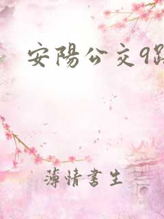 安阳公交9路
