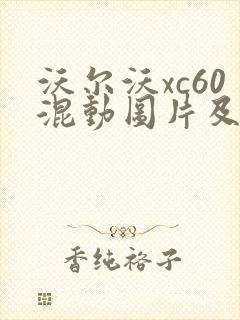 沃尔沃xc60混动图片及报价