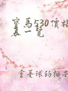 宝马530价格表一览
