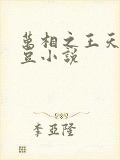 万相之王天蚕土豆小说
