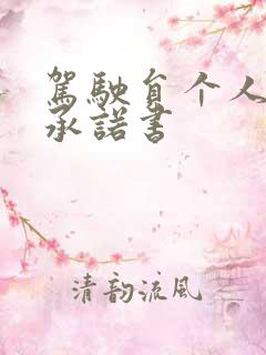 驾驶员个人安全承诺书 驾驶员个人安全承诺书