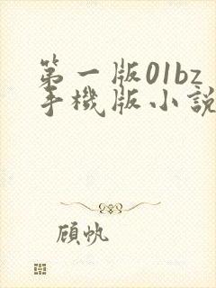 第一版01bz手机版小说