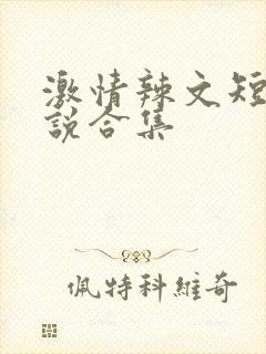 激情辣文短篇小说合集