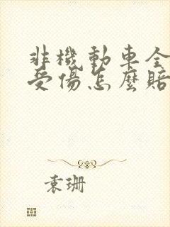 非机动车全责人受伤怎么赔