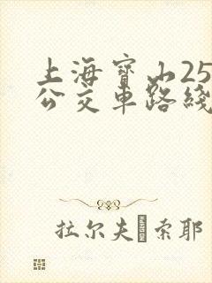 上海宝山25路公交车路线图