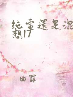 纯电还是混动理想l7