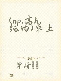(np,高h,纯肉)车上