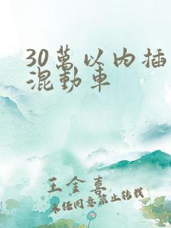30万以内插电混动车