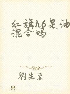 红旗h6是油电混合吗